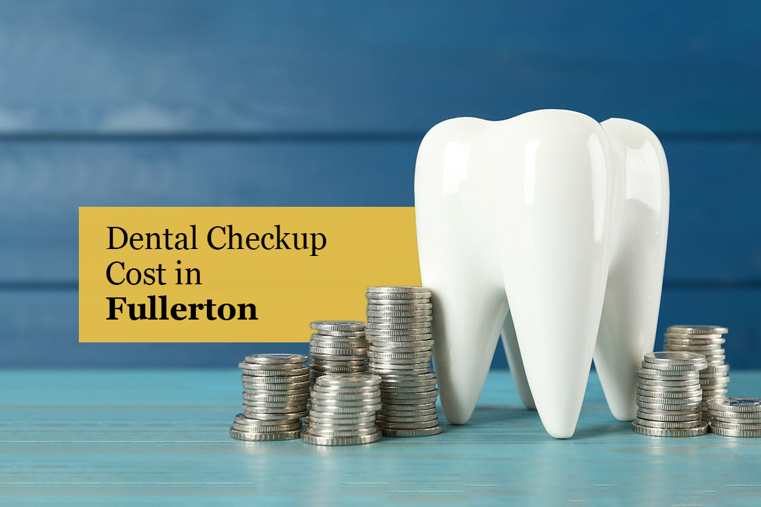Model tooth beside stacks of coins representing dental costs